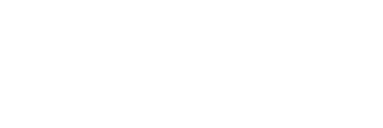 Image alt list item