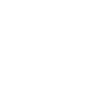 Image alt list item